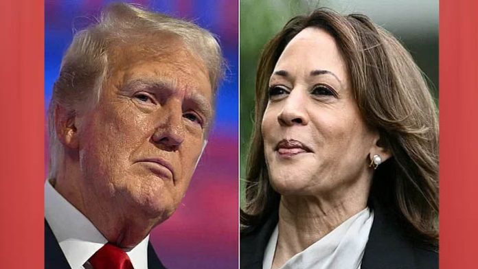tramp-kamala