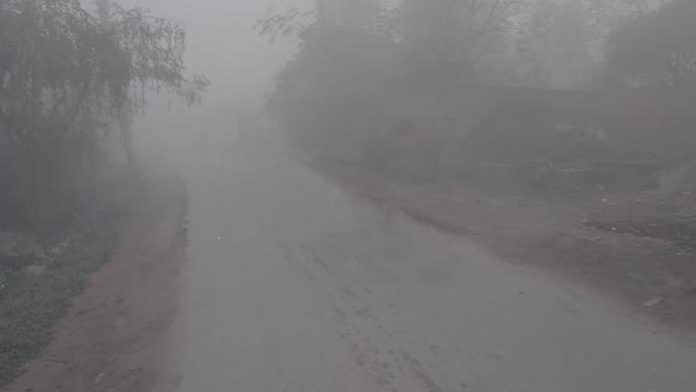 winter
