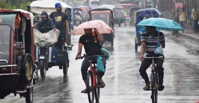 rain_20250212_113330543