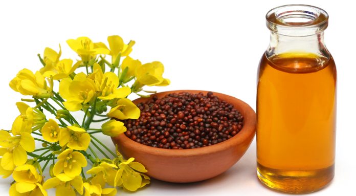 mustard-flowers-seeds-oil-white-background_20250301_153346098