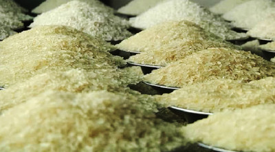1744096047.1736082749.ind rice
