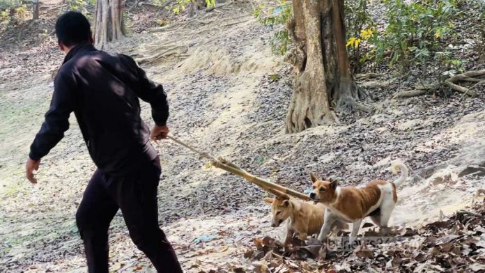 kkhagrachari-dog-hunting-220226-2-1771829697