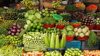 resize-350x300x1x0image-304075-1774602401bdjournal